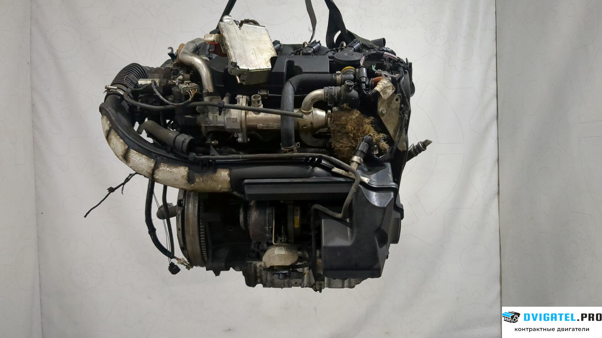 Двигатель Ford Galaxy 2006 - 2010 QXWA, QXWB, QXWC 2 л., Дизель, TDCI, артикул 8415542