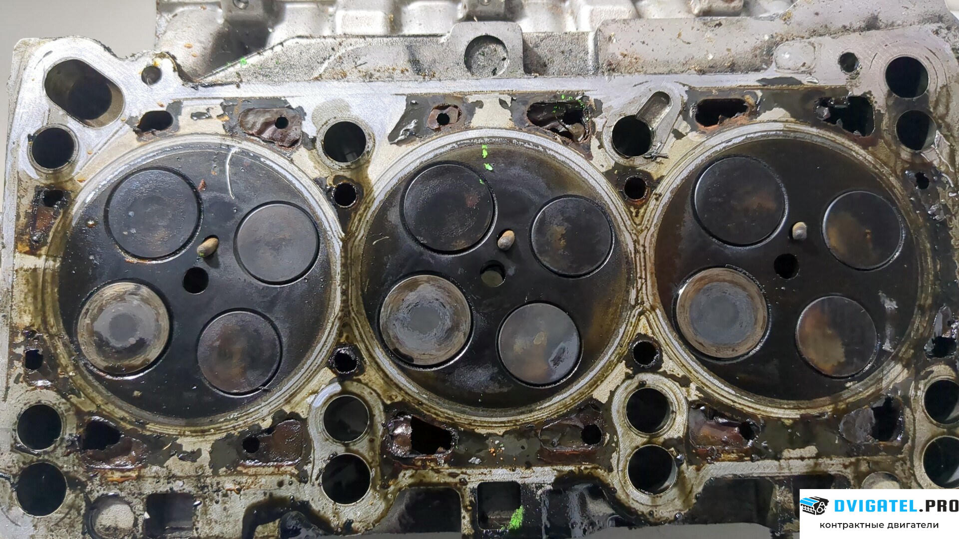 Головка блока цилиндров (ГБЦ) Audi A6 C5 1997 - 2004 BDG 2.5 л., Дизель, TDI, артикул 8950101