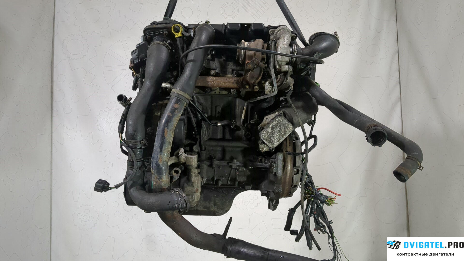 Двигатель Ford Fusion 2002 - 2012 HHJB, HHJA 1.6 л., Дизель, TDCI, артикул 8569081