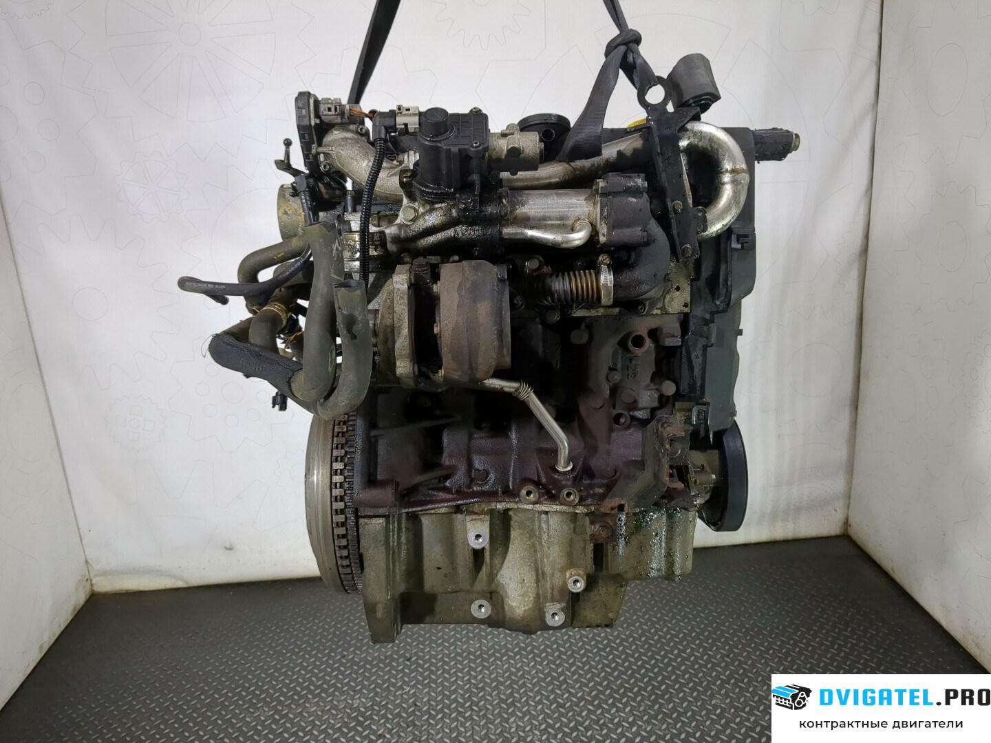 Двигатель Renault Megane 2 2002 - 2009 K9K 732 1.5 л., Дизель, DCI, артикул 8650659